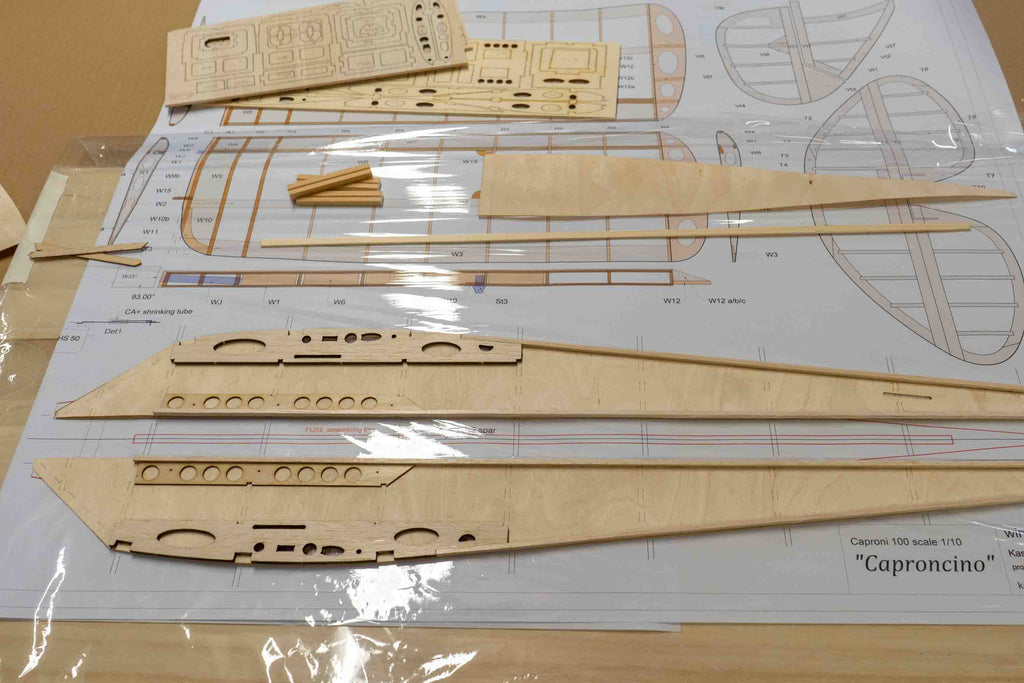 Kit Aeromodello RC Caproni CA100