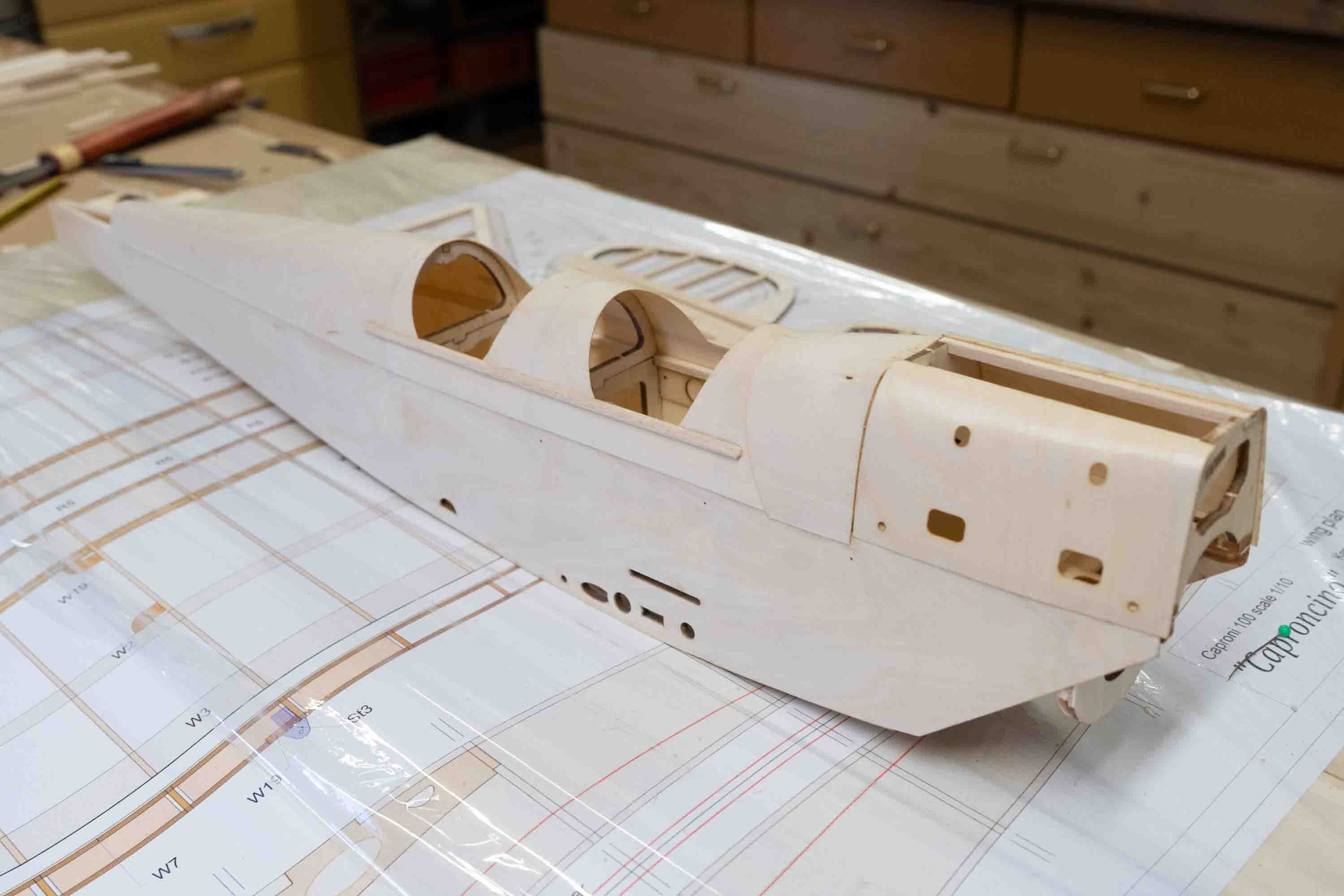 Kit Aeromodello RC Caproni CA100