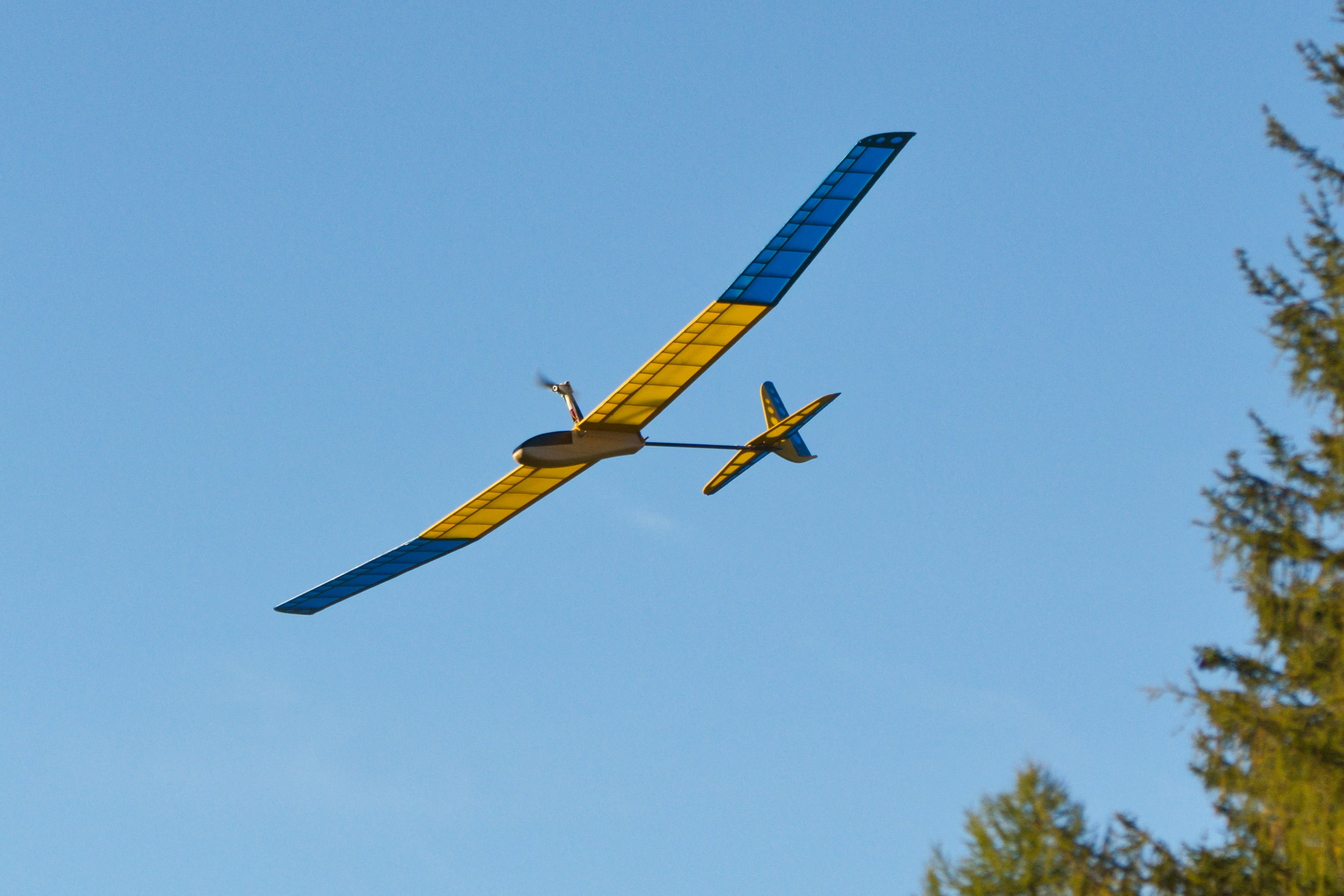 Aeromodello RC Dragonfly Kit