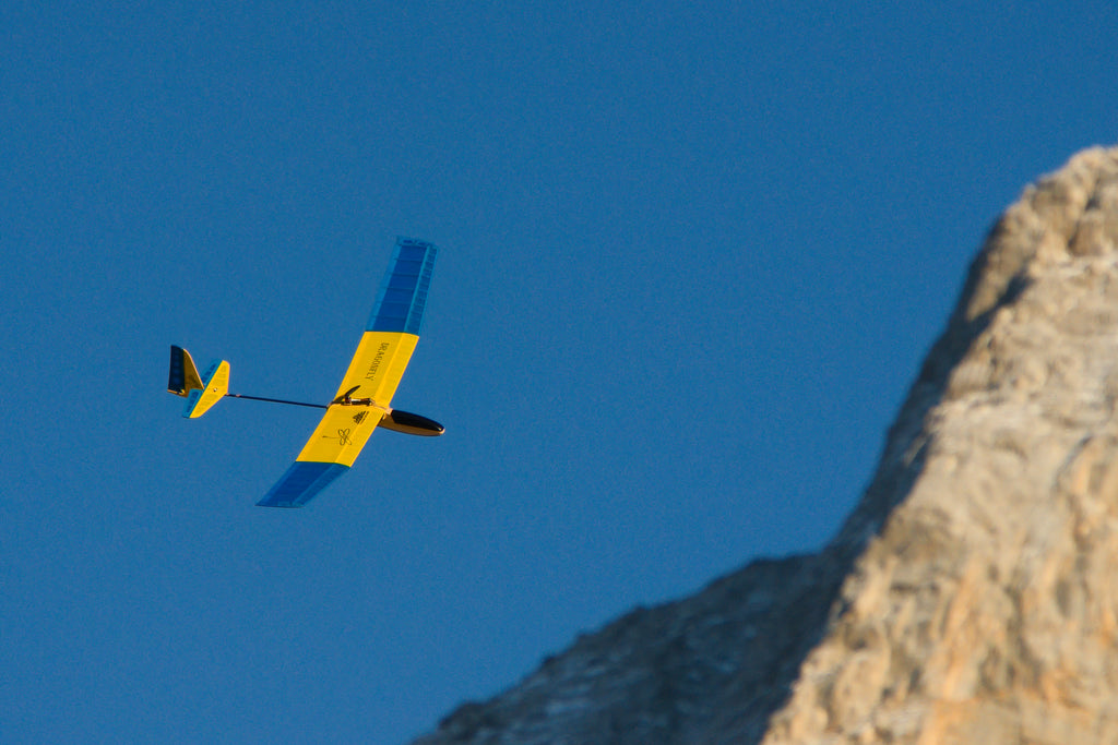 Aeromodello RC Dragonfly Kit