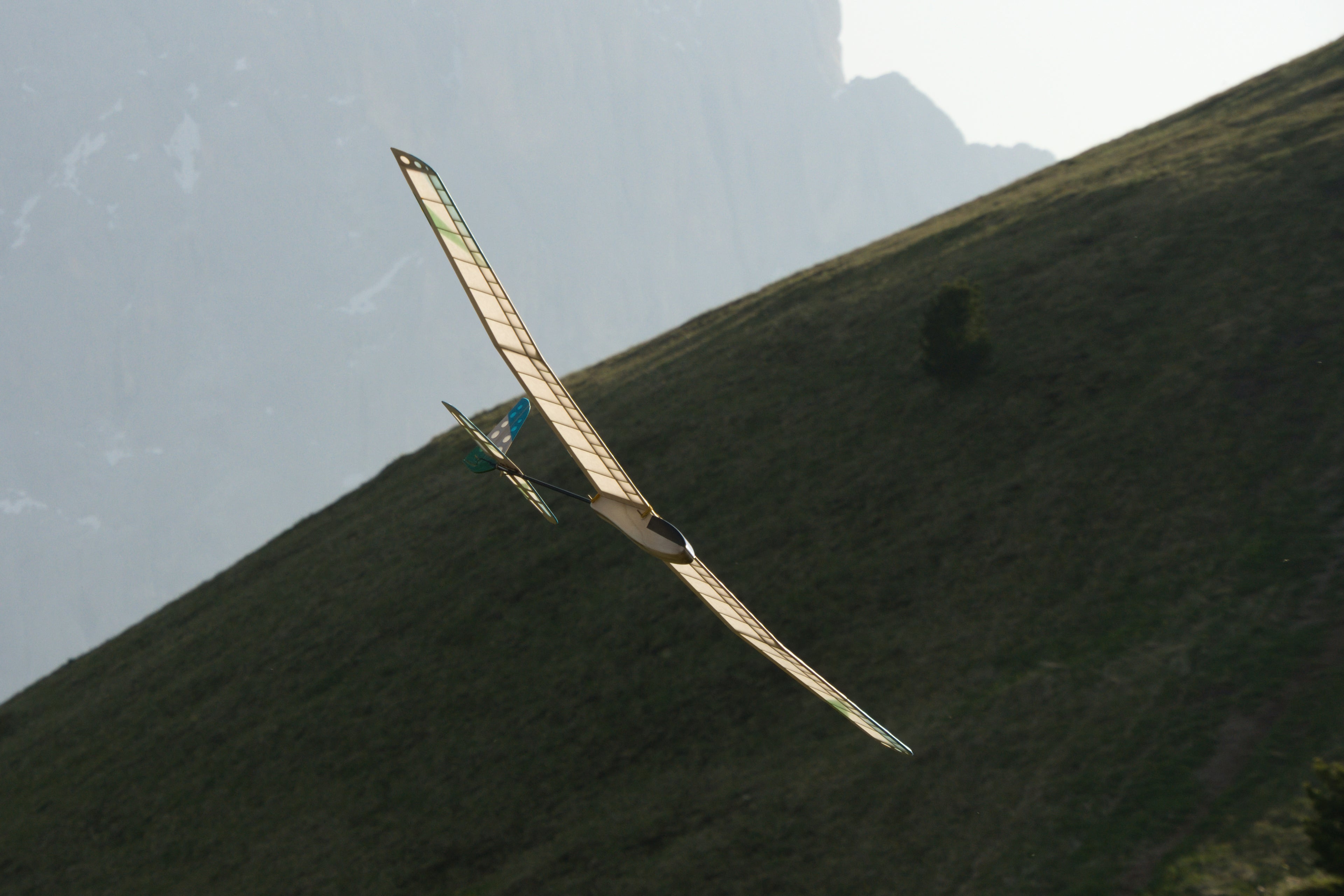 Aeromodello RC Dragonfly Kit